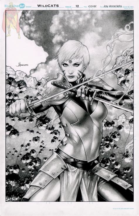 wildcats issue 12 cover by jay anacleto in kirk dilbeck 3 wishes and patron of art s 3