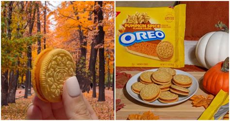 oreo announces new pumpkin spice oreo coming to stores this month chip and company