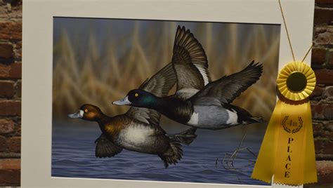 Duck Stamp Winners Unveiled On Display At Wildlife Arts Festival