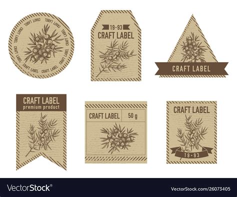 Craft Labels With Juniper Royalty Free Vector Image