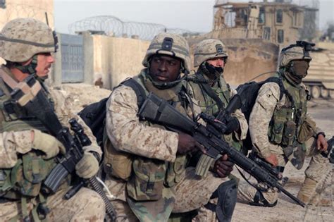 Book Review New Dawn The Battles For Fallujah Defense Media Network