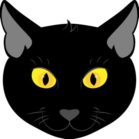 Cat Head Png