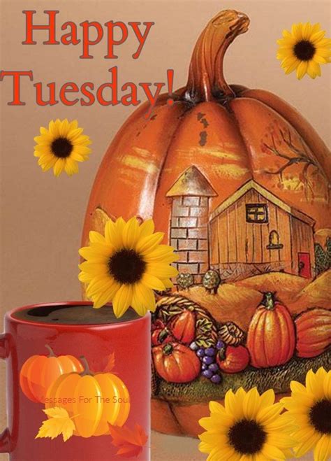 Pumpkin Happy Tuesday Fall Quote Pictures Photos And Images For