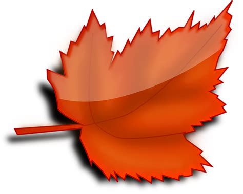 100 Free Maple And Leaf Vectors Pixabay