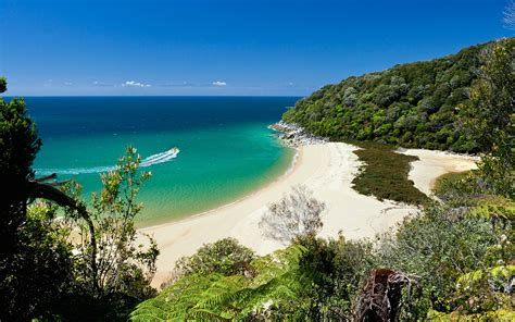 Download all photos and use them even for commercial projects. New Zealand Just Crowdfunded A New Public Beach | Travel ...