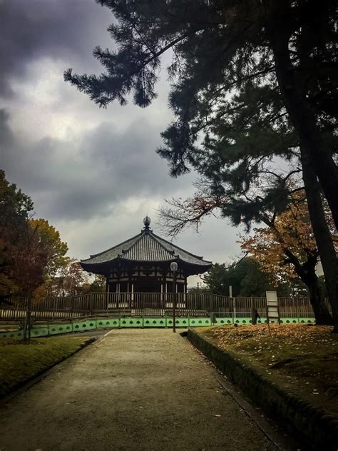 Looking For Peacefulness In The Amazing Nara Park Japan Hortense Travel