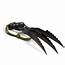 Real Wolverine Animal Claws