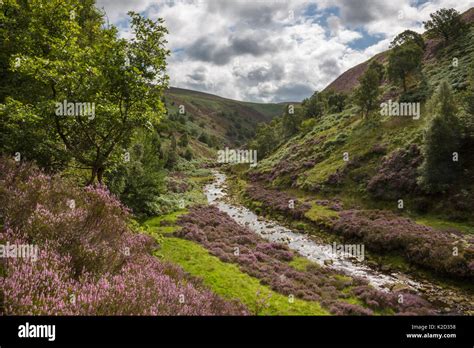 River Derwent Above Howden Reservoir At Oaken Bank Peak District Stock