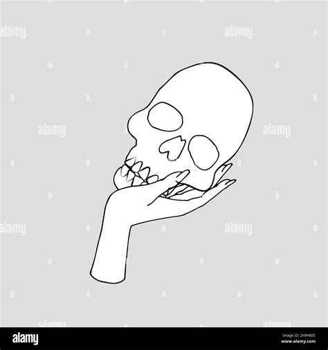Vintage Mystic Female Hand Holding Human Skull Stock Vector Image And Art