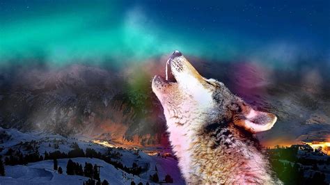 Black Wolf Howling Wallpapers Hd Wolf Wallpaperspro