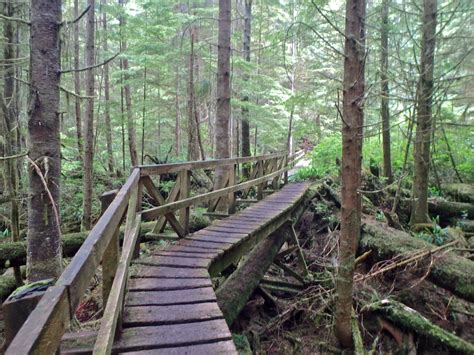 West Coast Trail Blog Hiking One Of The Best Hikes In Vancouver Island