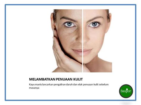 Kandungan coumarin nya pun amat rendah. SAUPOR NATURAL: 6 KESAN MENAKJUBKAN JIKA ANDA GUNA KAYU ...