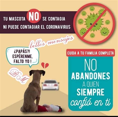 Pin De Mely Morales En Bellos Mensajes En 2020 Mascotas Abandono