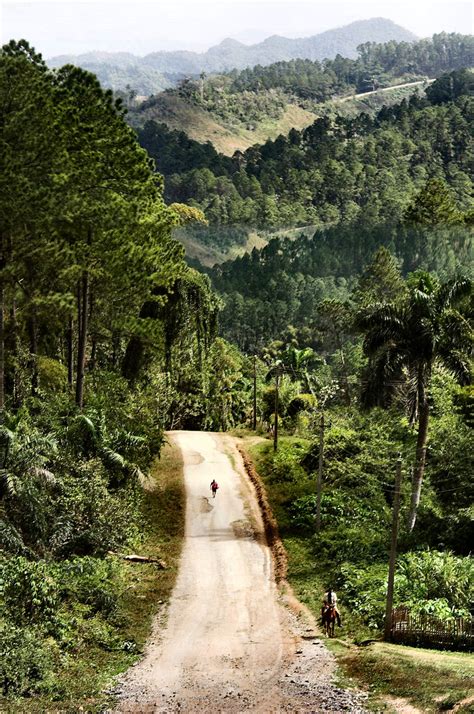 Country Road Cuba Free Stock Photo Public Domain Pictures