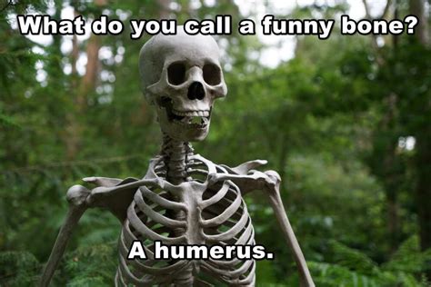 100 Skeleton Puns Jokes And Memes That Will Tickle Your Funny Bone Legit Ng