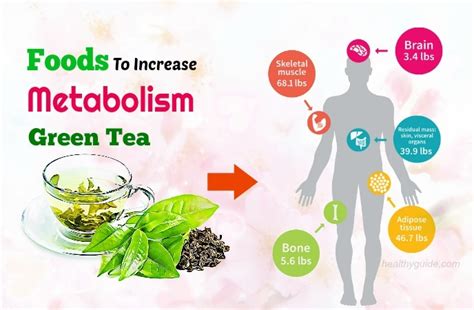 10 Foods To Increase Metabolism Rate In The Morning For Men And Women