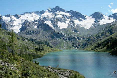 These are also known as coniferous forests , get all the information about this biome by this interesting video. 30 fascinating facts about the boreal forest : TreeHugger