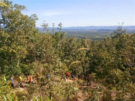 | με κατάταξη στο νο 1 από 1. JaLaN-JaLaN: DUSUN RESORT KUALA NERANG KEDAH : Survival di ...