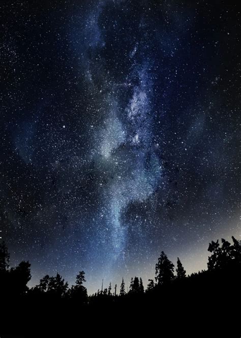 Night Forest Poster By Mcashe Art Displate Beautiful Night Sky