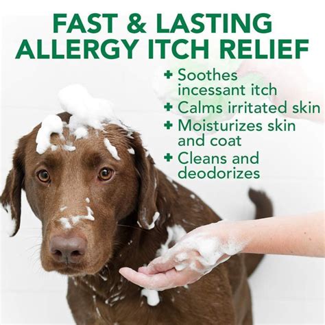 Vets Best Allergy Itch Relief Dog Shampoo 16 Oz Naturally For Pets
