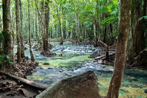 krabi jungle tour with hot spring and tiger cave temple tui