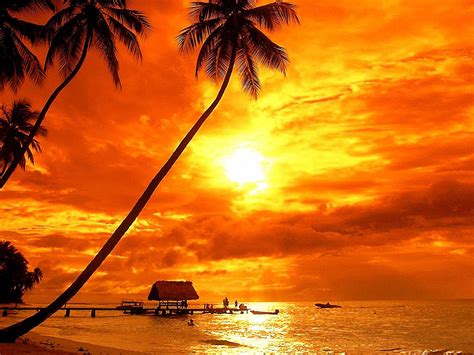 We have an extensive collection of amazing background images carefully chosen by our community. Bora Bora Tropical Sunset Beach Palm Trees Red Sky Clouds ...