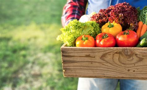 Why Eating Locally Grown Foods Is Healthy Reflect And Refresh