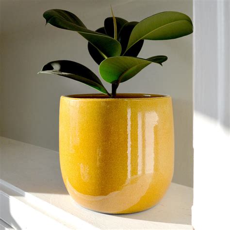 Inspirasi Spesial Plant Pot Avec Lumiere Taman Minimalis
