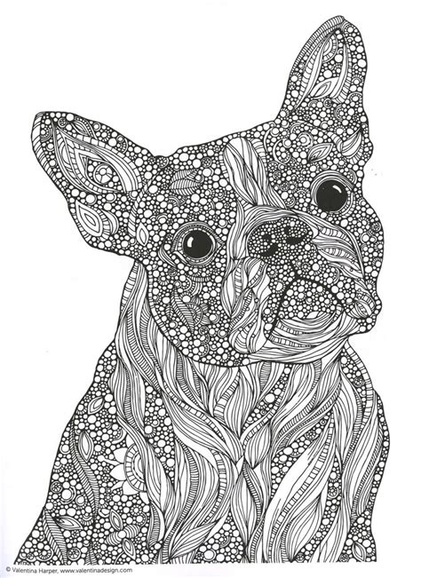 13 Coloring Pages Animals For Adults Images Colorist