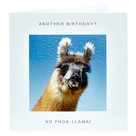 Spending time with a llama is a special occasion, but you don't need a special reason to incorporate these llamazing creatures into your everyday life. Buy Birthday Card - No Prob-llama! for GBP 0.99 | Card ...