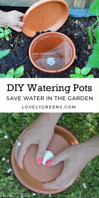 How To Make Diy Ollas Low Tech Self Watering Systems For Plants Artofit