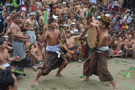 Pandan War 5 Balinese Hindu Ceremonies You Should See In Bali