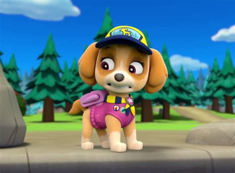 Paw Patrol Images Skye Hd Wallpaper And Background Photos 40263705