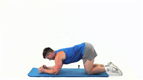 How To Do A Kneeling Plank Youtube