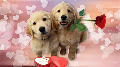 Puppy Valentine Wallpaper (56+ images)