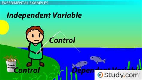 Identifying & Interpreting Independent & Dependent Variables - Video ...