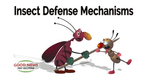Insect Defense Mechanisms Pest Control In Venice Fl Good News Pest