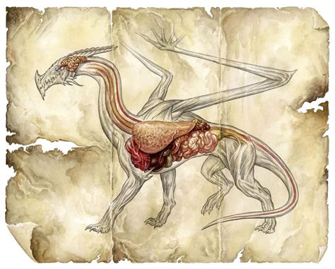 A practical guide to dragons.pdf. THE ART OF JIM NELSON: Dragon Anatomy