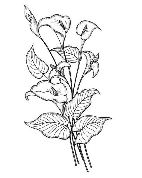 Maybe you would like to learn more about one of these? revistas y algo mas: flores para dibujar