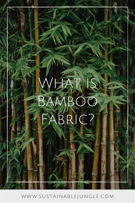 What Is Bamboo Fabric And Is It Sustainable