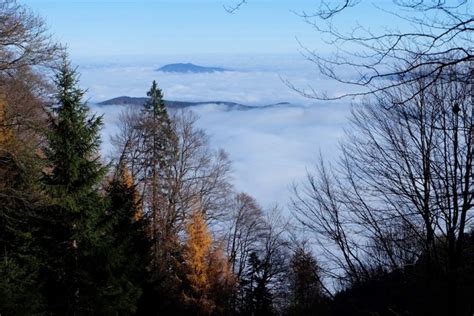 Wenn sie haus stefanie in inzell anrufen möchten, erreichen sie ihren ansprechpartner unter der telefonnummer 08665 75 10 zu den jeweiligen öffnungszeiten. Gipfelbuch Hochstaufen 1.771 m über die Steinernen Jäger ...