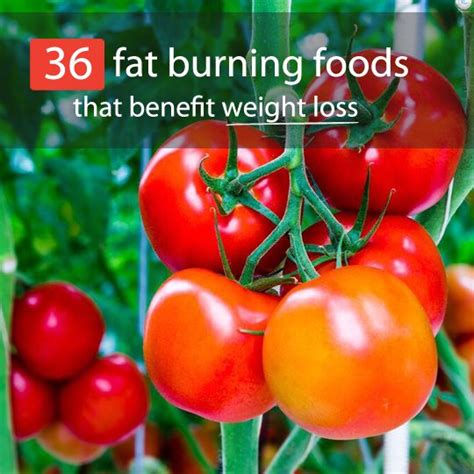 36 Super Foods That Burn Fat And Help You Lose Weight Hand Crafted Beauties