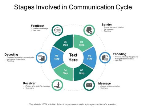 Stages Involved In Communication Cycle Presentation Graphics