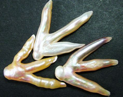 Chicken Feet Keshi Pearls High Luster 37cts Pf401