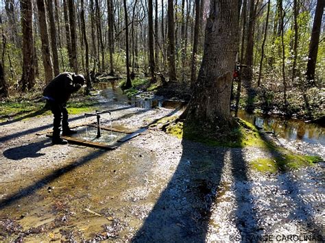 God's Acre Healing Springs (Blackville, SC) | Strange Carolinas: The
