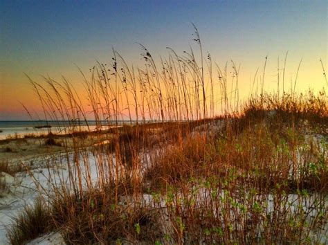 Sea Island Beach In Georgia By Charlene James Many Afternoons Spent