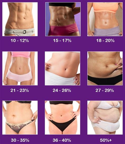 the low down on body fat ~ body fat percentage and chart