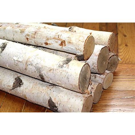 Northern White Birch Logs Set Of 8 Logs To View Further For This