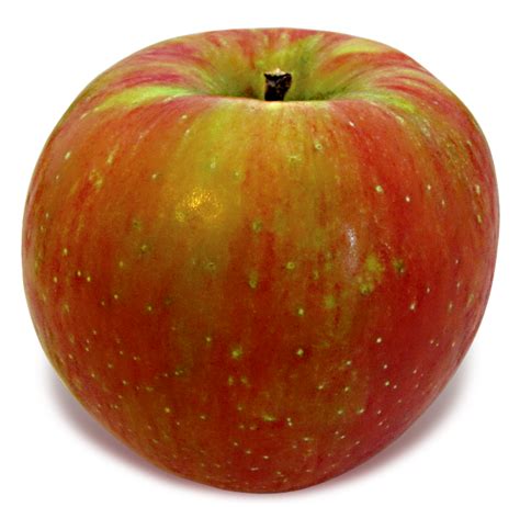 New England Honeycrisp: the real deal | New England Apples