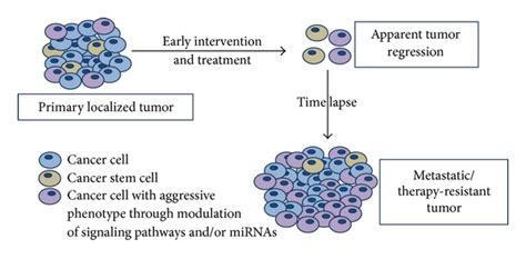 A local recurrence means the cancer returns in the treated breast. Pathways to Breast Cancer Recurrence